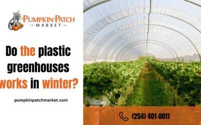 Do Plastic Greenhouses Work in Winter?