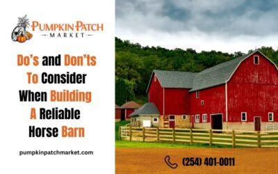 Do’s and Don’ts To Consider When Building A Reliable Horse Barn