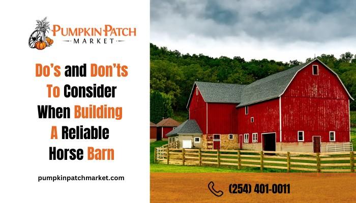 Do’s and Don’ts To Consider When Building A Reliable Horse Barn