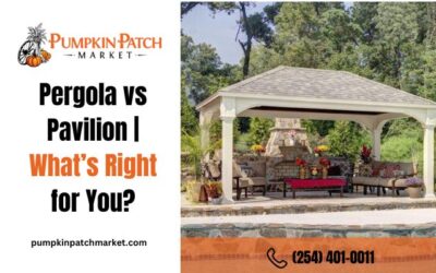 Pergola vs Pavilion | What’s Right for You?