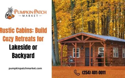 Rustic Cabins | Build Cozy Retreats for Lakeside or Backyard