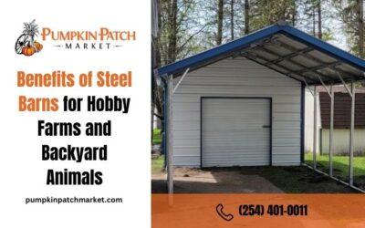 Benefits of Steel Barns for Hobby Farms and Backyard Animals