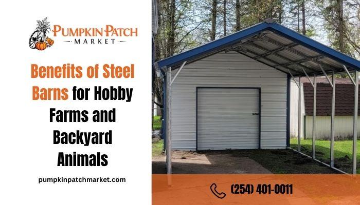 Benefits of Steel Barns
